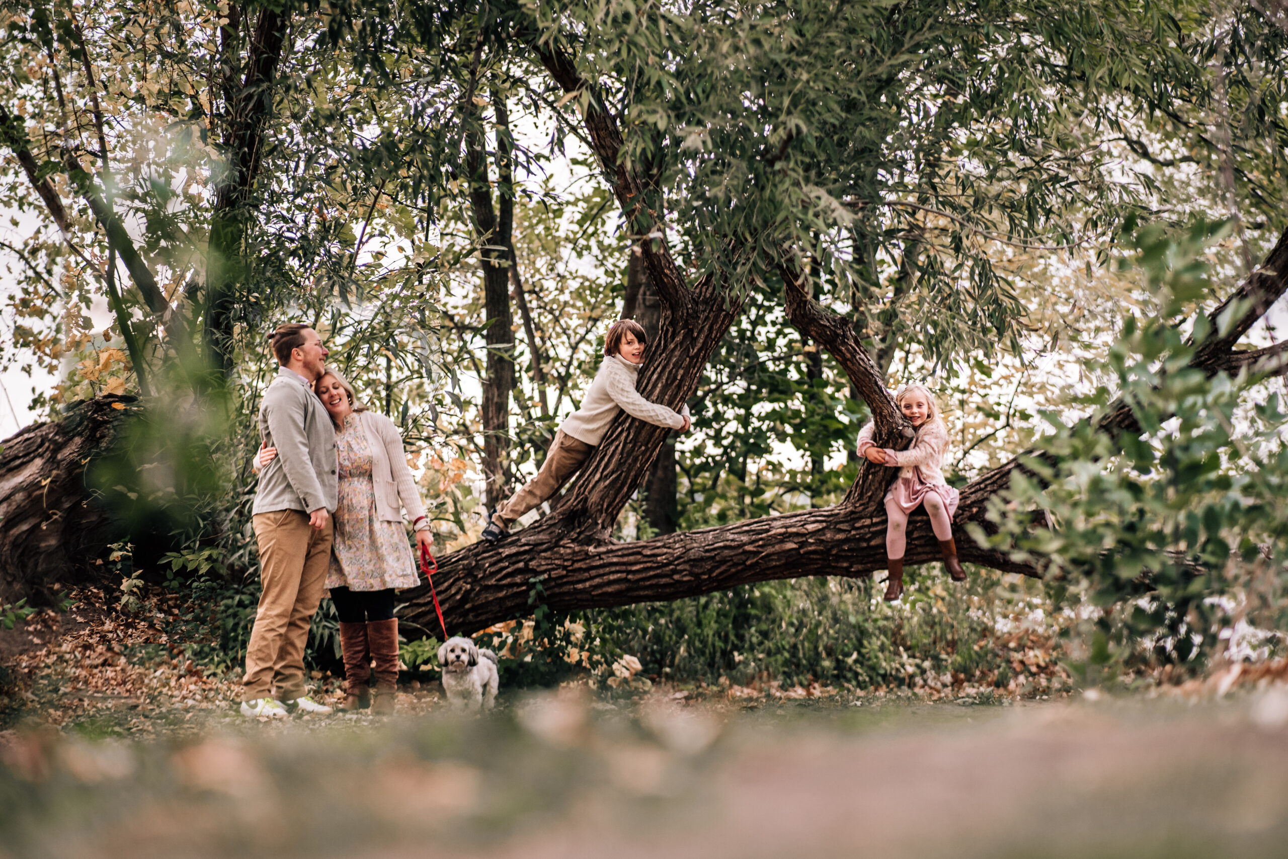 family of four with daughter and son climbing and hanging out on a tree while mom and dad watch holding their dog 