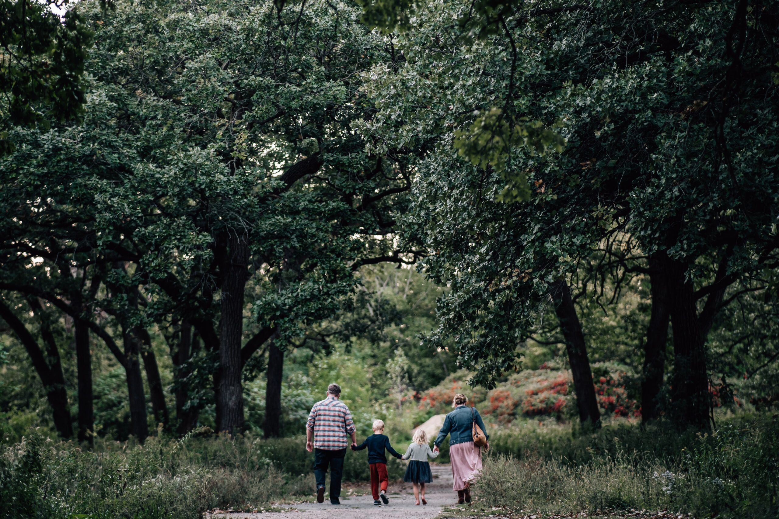 family four holding hands and walking down a path together underneath of a grove of trees